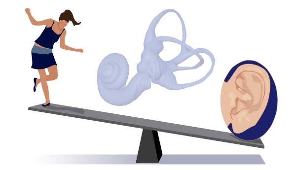 El oído y el equilibrio